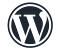 alt="WordPress custom designing and themes based on your business"